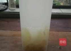 荔枝脉动饮品的做法图解4