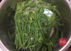 蒜香龙须菜的做法图解2