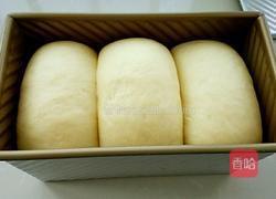 奶香土司(一次发酵法)的做法图解10