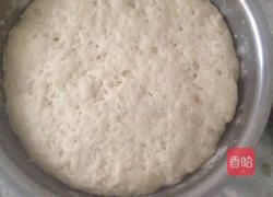 马齿苋窝窝的做法图解4