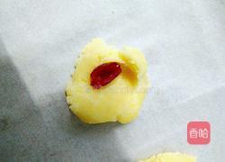 蔓越莓小饼干的做法图解12