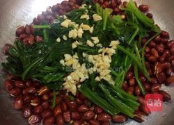 果仁菠菜的做法图解4