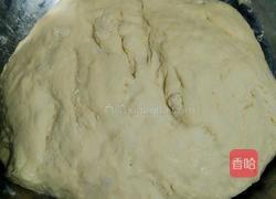 星星白馒头的做法图解7