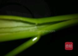 蚂蚁爱上绿树的做法图解3