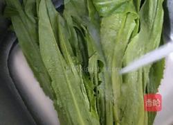 蒜茸油麦菜的做法图解1