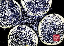 黑芝麻南瓜饼的做法图解15