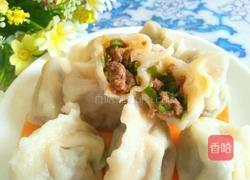 豆角牛肉水饺的做法图解13