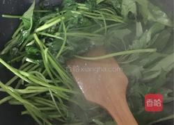 蒜香红薯叶的做法图解6