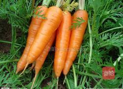 胡萝卜遇上肉的做法图解1