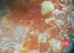 西红柿鸡蛋汤的做法图解5