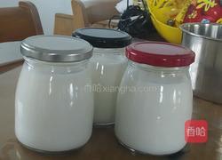 原味酸奶的做法图解4