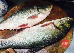 豉香蒸抱盐鱼的做法图解1