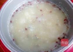 粘玉米粗粮粥的做法图解8
