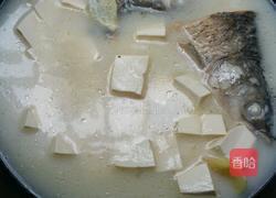 鱼头豆腐汤的做法图解8