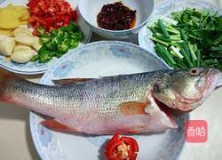紅燒鱸魚的做法圖解3