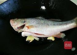 紅燒鱸魚的做法圖解5