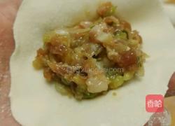 猪肉白菜锅贴的做法图解9