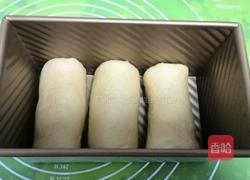 蔓越莓土司面包的做法图解17