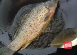 家常鲤鱼(川味)的做法图解5