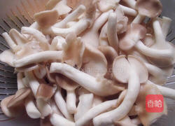 秀珍菇枸杞筒骨汤的做法图解6