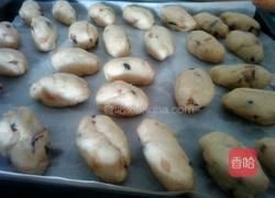 蜜豆全麦早餐包的做法图解7