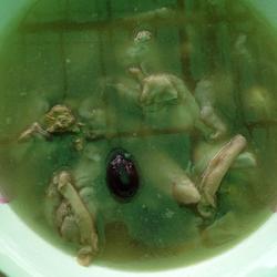 沙虫煲鸡汤的做法[图]