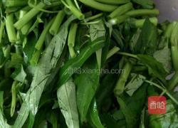 空心菜的做法图解2