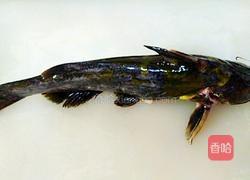 黄骨鱼汤的做法图解1