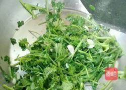 香菜鸡蛋～家常菜的做法图解6