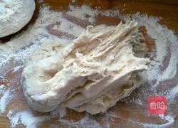 白萝卜猪肉馅饼的做法图解10