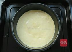 老式蜂蜜鸡蛋糕的做法图解8