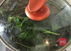 田基黄凉茶煲的做法图解6