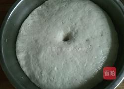 中种牛奶土司的做法图解6