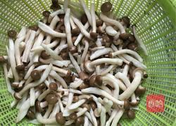 蟹味菇炒鸡蛋的做法图解3