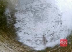 辣椒炒嫩南瓜的做法图解4