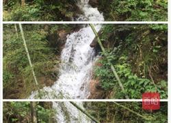 杨梅饮料的做法图解4