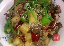 香辣土豆闷鸭的做法图解8