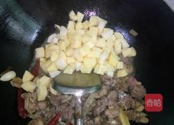 香辣土豆闷鸭的做法图解5