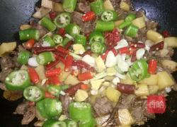 香辣土豆闷鸭的做法图解6