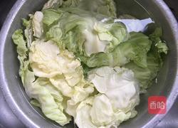 手撕卷心菜的做法图解2