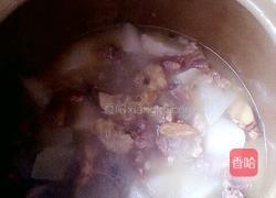 白萝卜炖牛腩的做法图解11