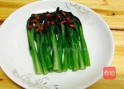 甲鱼烧排骨的做法图解6