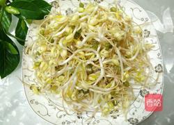 发绿豆芽的做法图解4