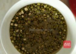 发绿豆芽的做法图解1