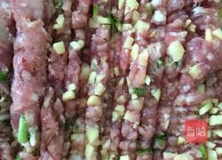 新鲜玉米汁饺子的做法图解2