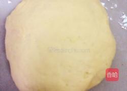 新鲜玉米汁饺子的做法图解5