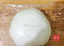 猪肉白菜馅的肉饼的做法图解2