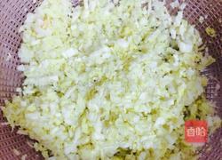 猪肉白菜馅的肉饼的做法图解3