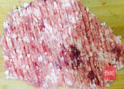 猪肉白菜馅的肉饼的做法图解4