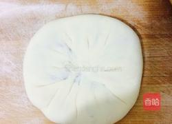 猪肉白菜馅的肉饼的做法图解11
